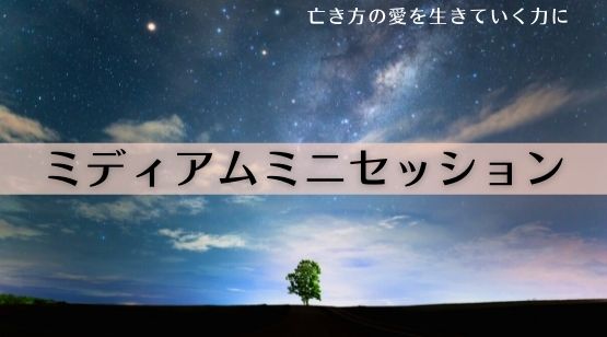 ミディアムミニセッション