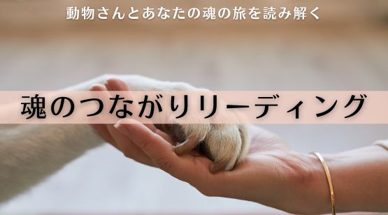 魂のつながりリーディング