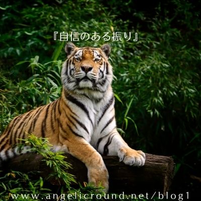 自信のある振り